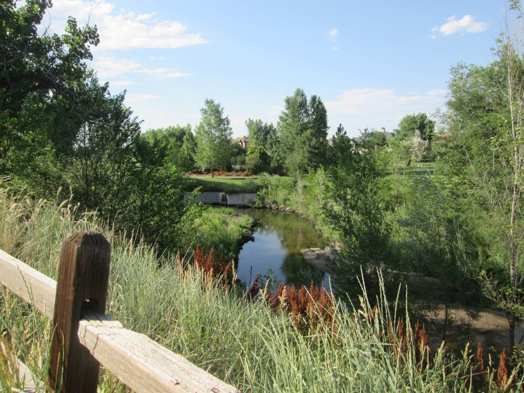 Hiking Along the Cherry Creek Trail Portion of the 9 Creeks Loop