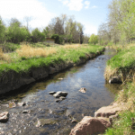 A Trail Oasis Smack in between DTC and Downtown Denver