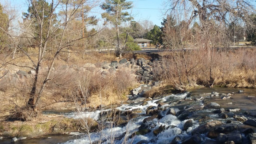 Find Fun MidCentury Architecture in Virginia Village Denver By Foot