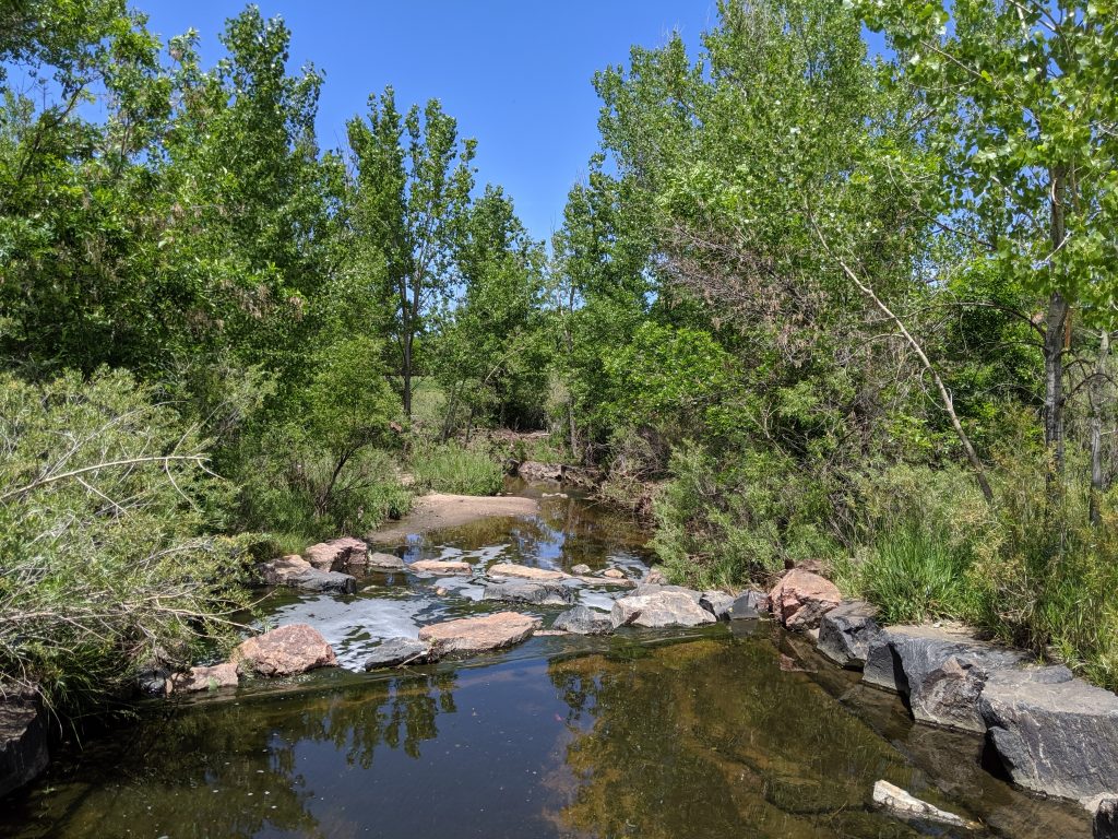 5 Shady Walks In Denver - Denver By Foot