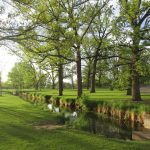 5 Shady Walks IN Denver