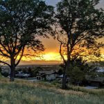 5 Amazing Denver Parks to Enjoy for Earth Day