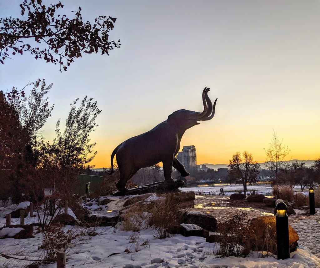 snowy mastodon city park denver